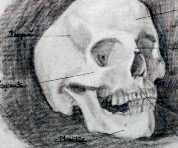 Charcoal, 2009