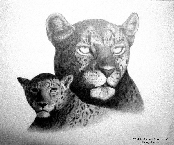 Graphite, 2006